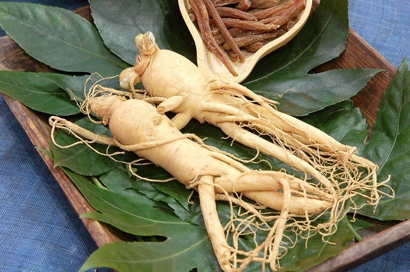 Женшен (Panax)